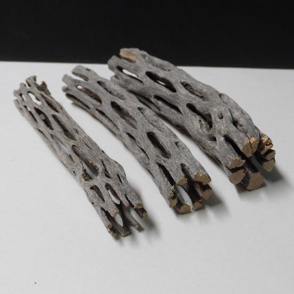 3pcs. Natural 6" Cholla Wood Chews for Chinchillas & Rabbits