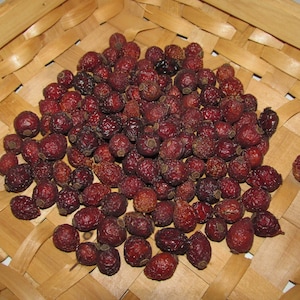 Whole Rose Hips - 1 Cup Natural Organic - Chinchilla Treats