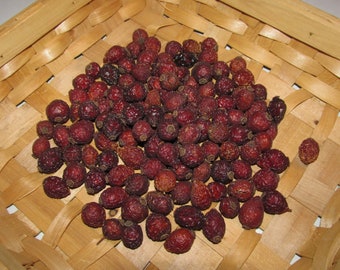 Whole Rose Hips - 1 Cup Natural Organic - Chinchilla Treats
