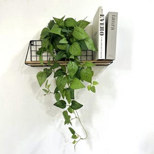 Puede incluir: Una estantería de pared con una rejilla de metal negro y una base de madera, que contiene dos libros y una vibrante planta colgante verde. Las hojas en forma de corazón de la planta caen en cascada hacia abajo, creando un elemento decorativo natural.
