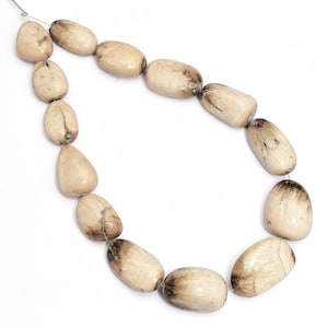 Koraliki Schalenblende 13 x 16 mm-16 x 24 mm gładkie bryłki | 10-calowy sznur | Naturalne luźne gładkie koraliki Schalenblende z półszlachetnych kamieni szlachetnych