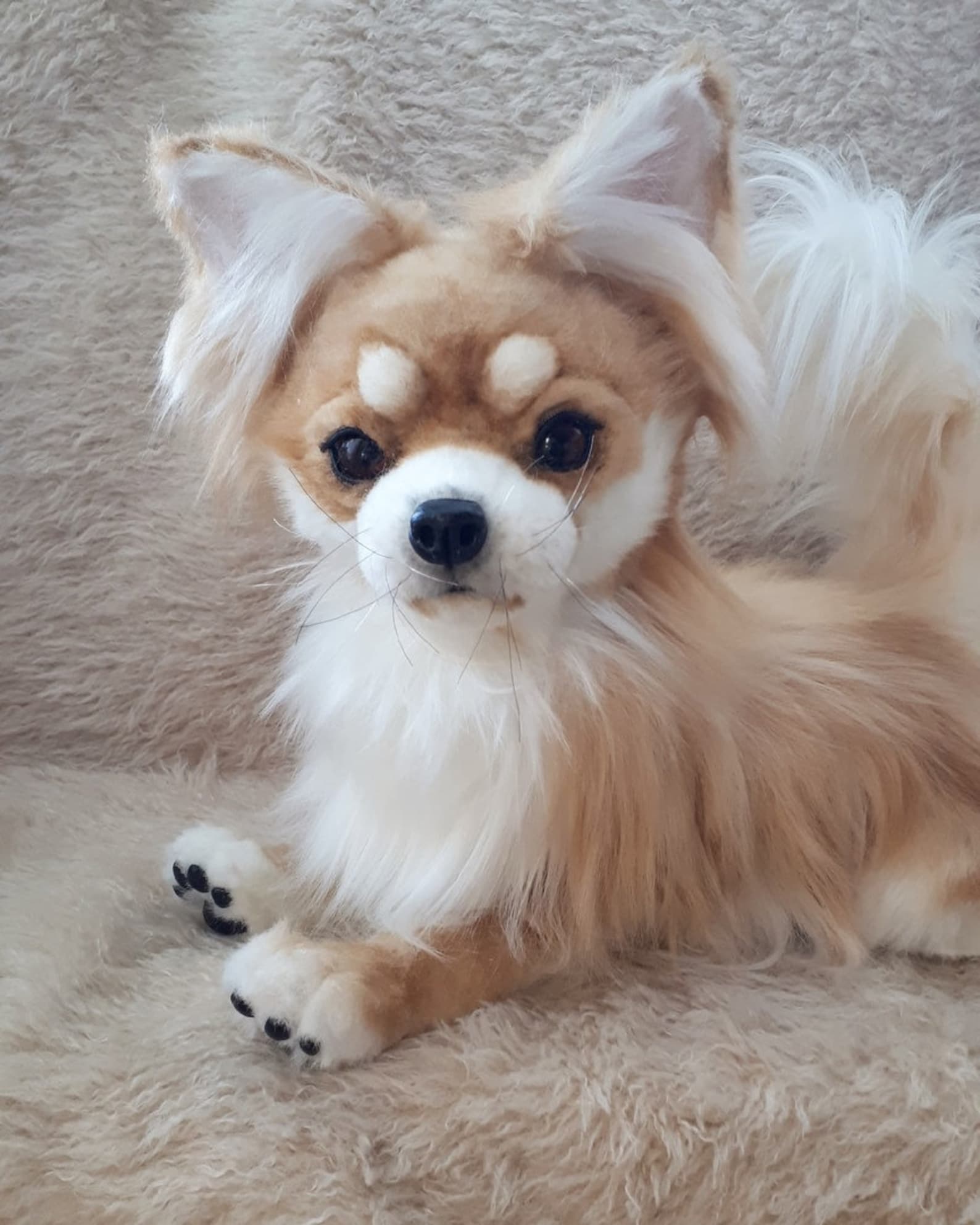 best chew toy for chihuahua