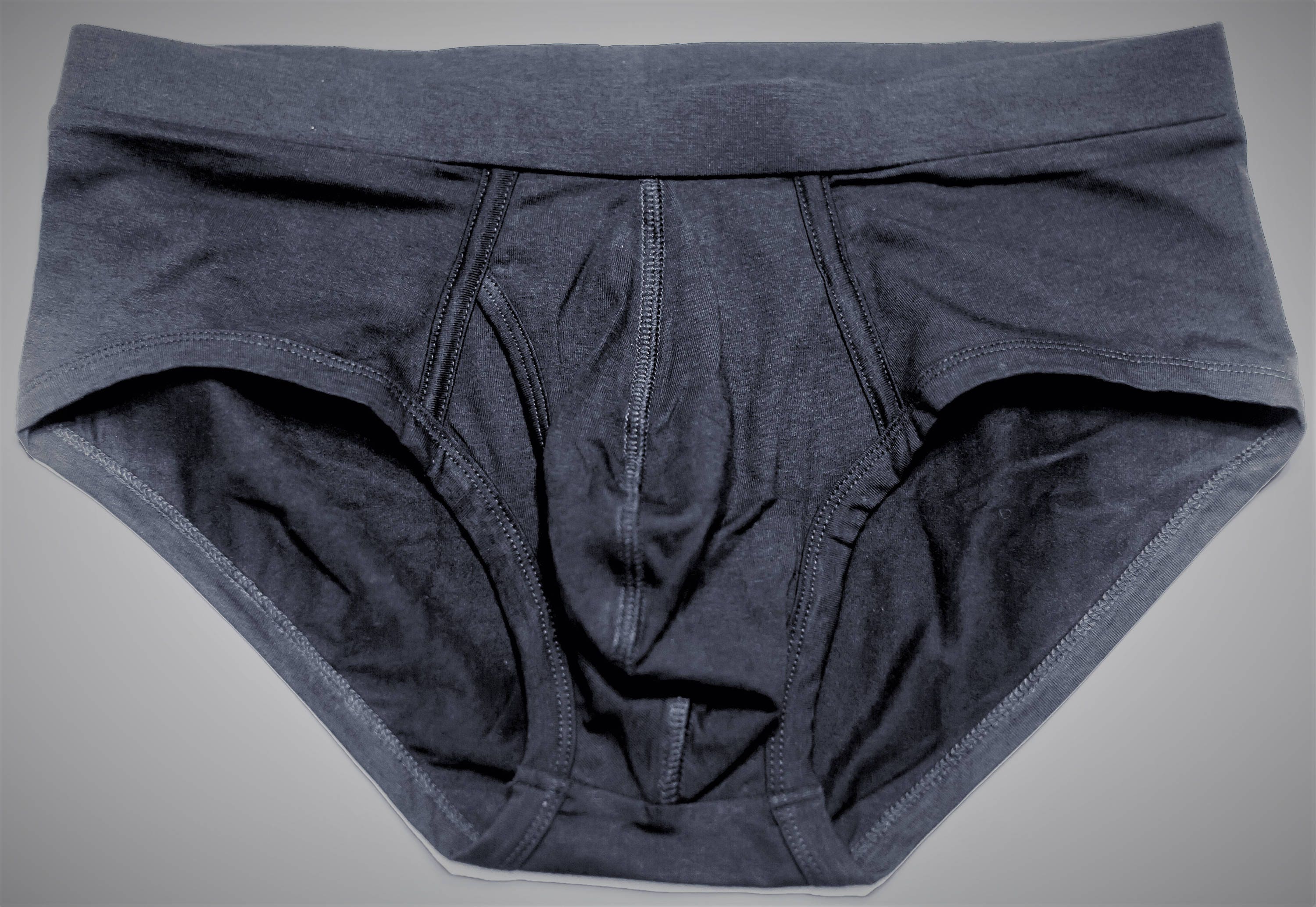 Organic Cotton Mens Brief Mens Underwear Mens Lingerie | Etsy