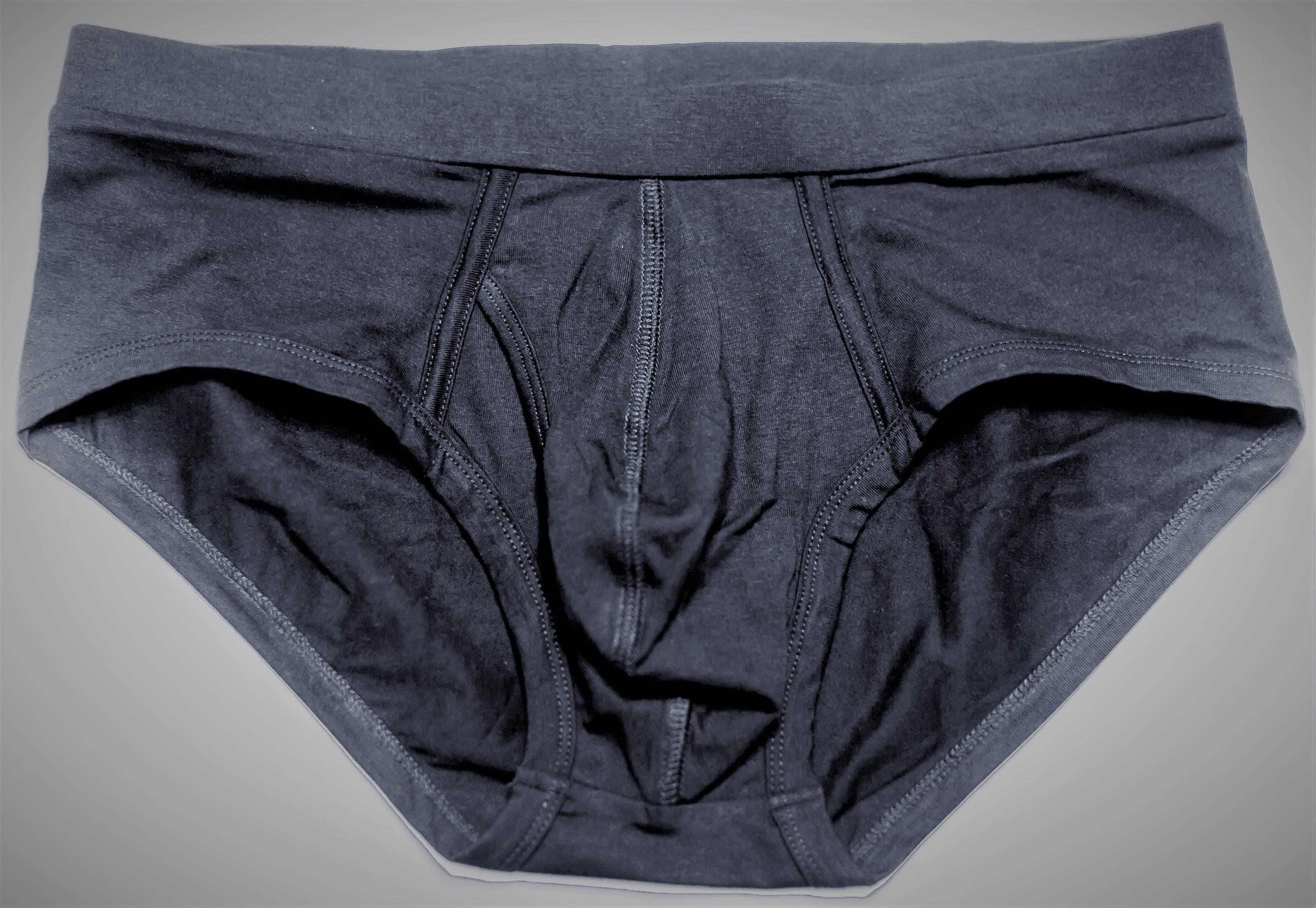 Organic Cotton Mens Brief Mens Underwear Mens Lingerie Etsy