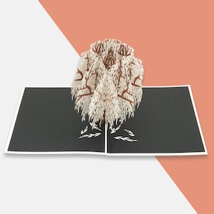 Carta pop up de White Willow Tree