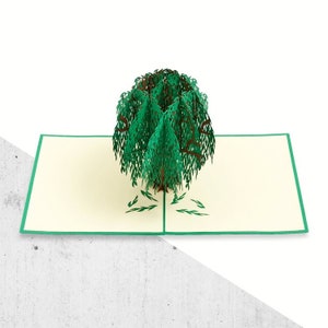 Cadeau Floral 3D Willow Tree Pop Up carte (vert)