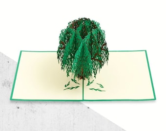 3D Blumen Geschenkschachtel Willow Tree Pop-Up-Karte (grün)