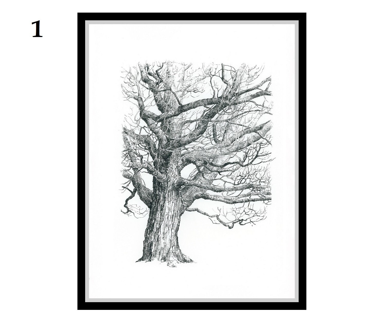Tree Prints Set. Black and White Art. Tree Prints Tree Wall Etsy