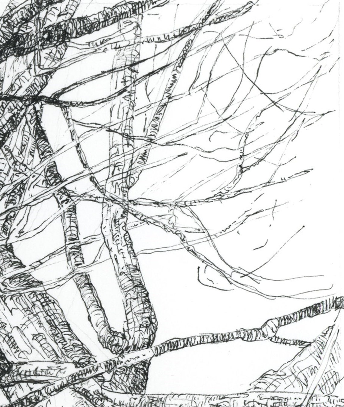 Pen and Ink ART PRINTS. Pen and Ink Tree Poster Prints. Pen Etsy