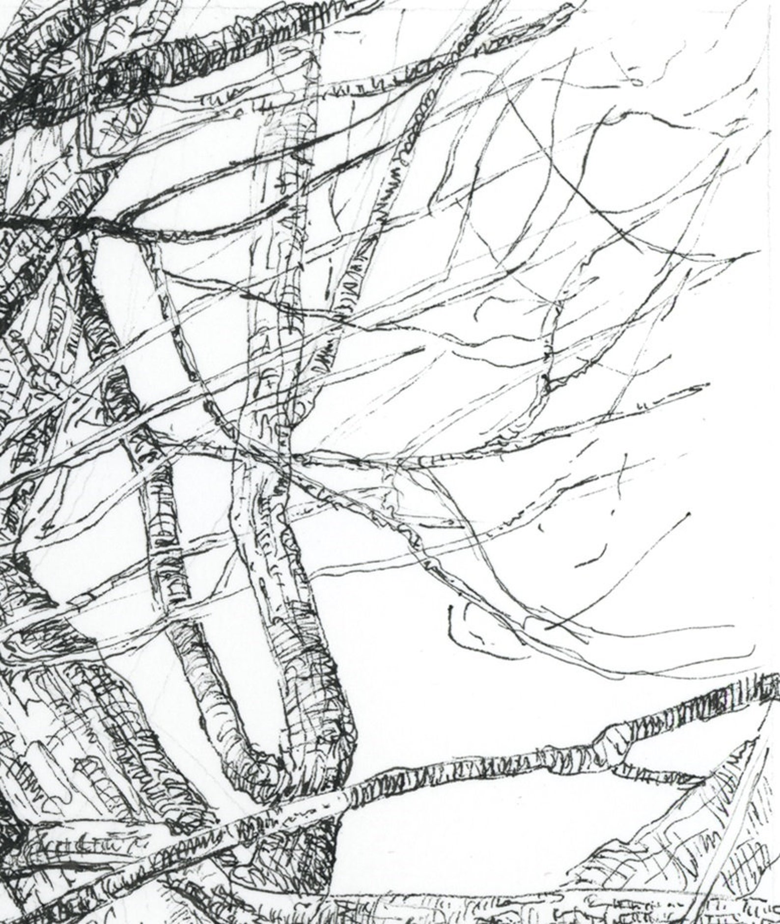 Pen and Ink ART PRINTS. Pen and Ink Tree Poster Prints. Pen Etsy