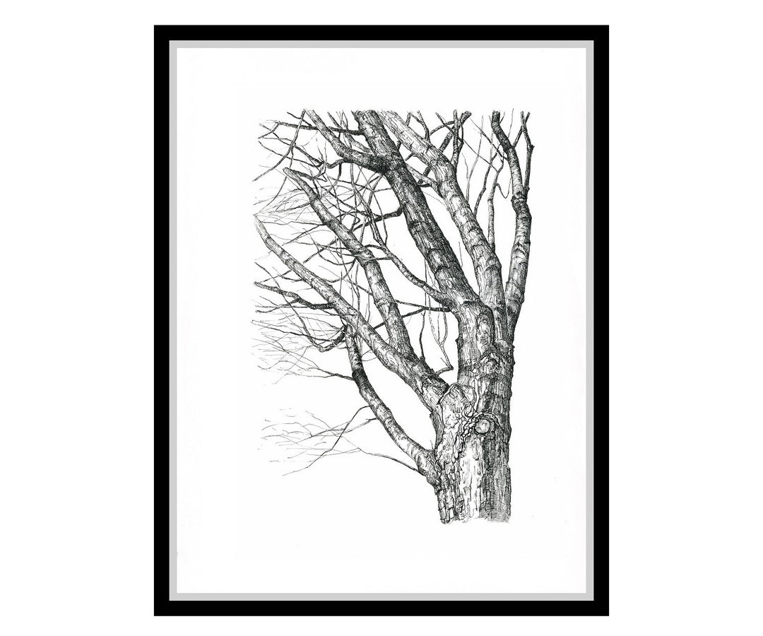 Tree Drawing Wall Art Print. Pen and Ink Drawing. Nature Lover Etsy
