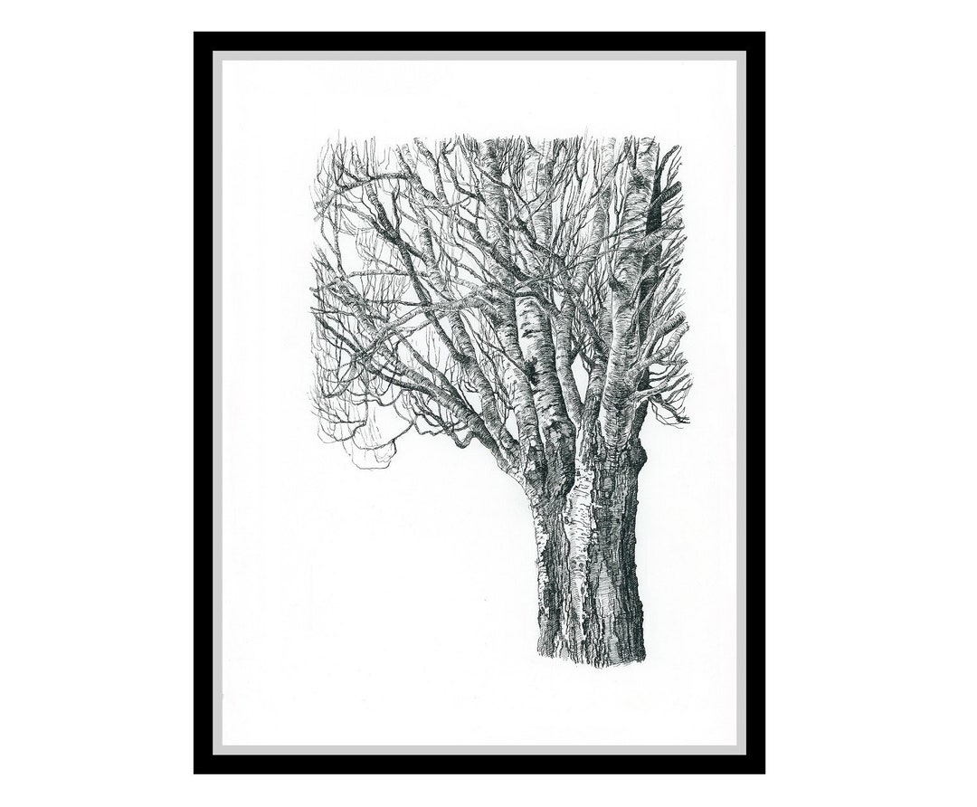 Tree Drawing Wall Art Print. Nature Lover Gift. Ink Drawing. Black and