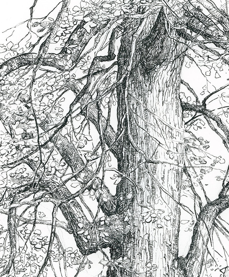 Decorative Art Prints. Tree Art Prints. Decorative Art Pieces. Etsy