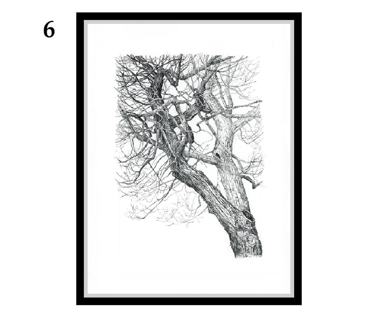 artwork-set-tree-art-prints-tree-drawings-prints-ink-drawing-etsy