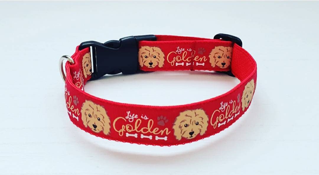 Life is Golden Dog Collar Golden Doodle Dog Collar Golden Etsy