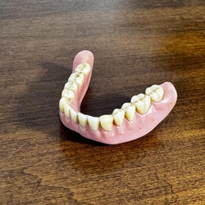 May include: A lower dental prosthesis featuring a pink acrylic gum base and a full set of off-white artificial teeth. The appliance is curved in a U-shape, displaying individual tooth structures including incisors, canines, and molars.