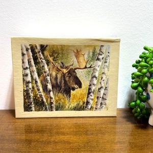 Lang Company Moose in the Birch Grove bladwijzer 14 luxe notitiekaarten 10 enveloppen