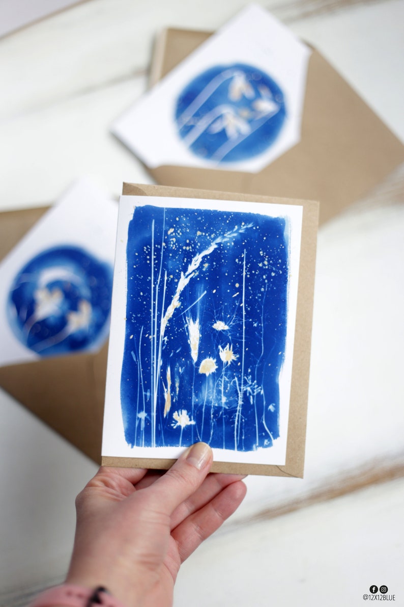 Cyanotype Summer Night Greeting Card Daisy Cyanotype Botanical Blank Inside Spring Floral Art Cards Any Occasion Easter
