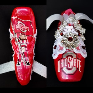 Go Buckeyes!!! - Decorated Pointe Shoe - Ohio State University