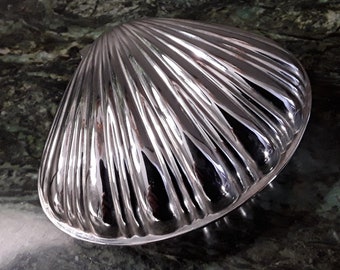 Shell Jewellery