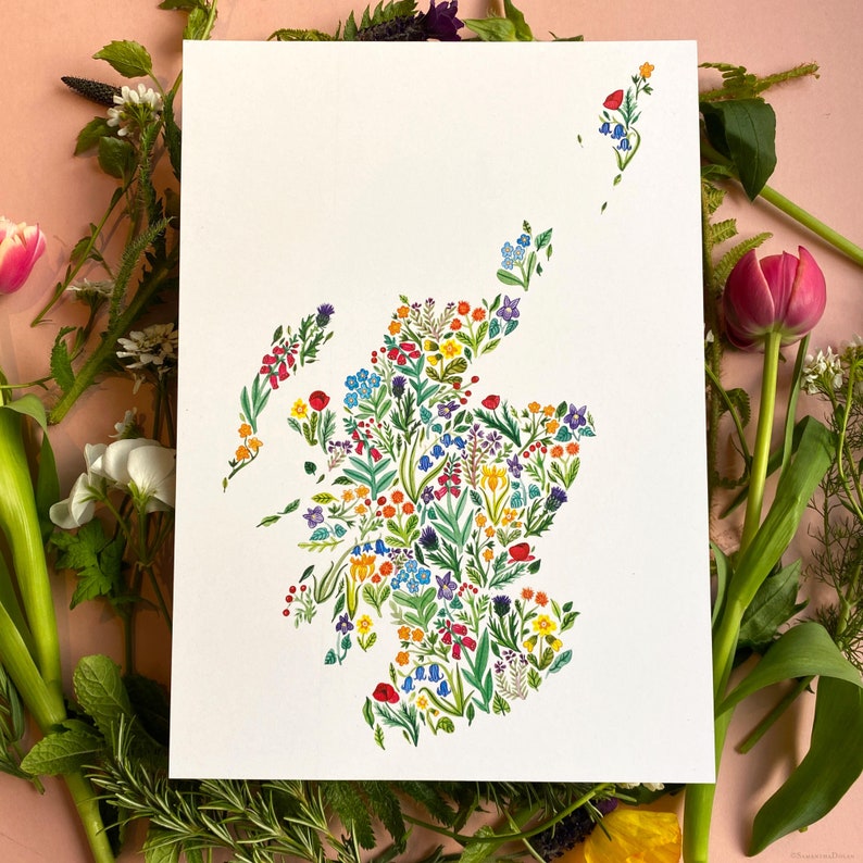 Wildblumen Schottland a4 Kunstdruck Bild 2