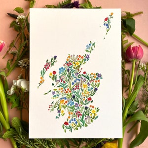 Wildblumen Schottland a4 Kunstdruck Bild 1