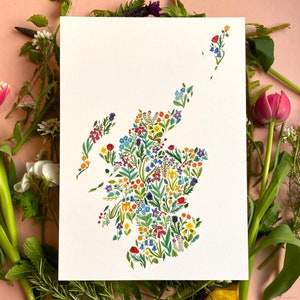 Wildblumen Schottland Kunstdruck