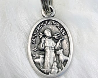 Pet Tag and Prayer Card St. Francis of Assisi  Protect My Pet Dog Collar Tag religious medal pet medal cute collar accessories free shipping