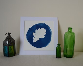 Oak leaf cyanotype.