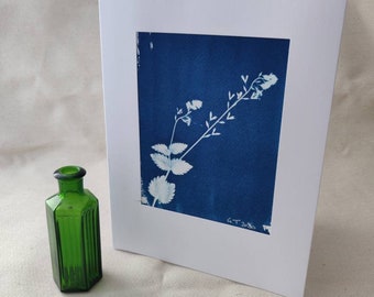 A5 Handmade Cyanotype Greetings Card -Wildflowers