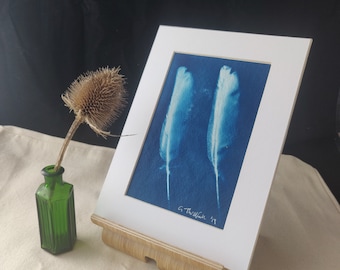 Handmade cyanotype prints: