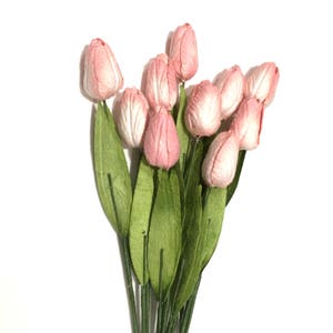 Tulipani di carta color salmone e gelso Tul015