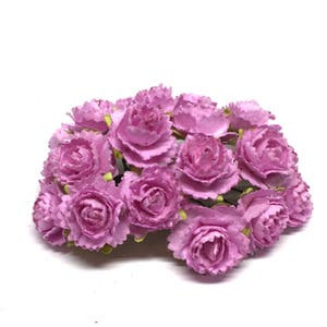 small lavender carnations pc022
