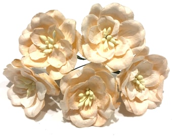 APRICOT Mulberry Paper Magnolias MAG005