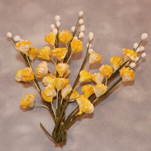 Yellow Mulberry Paper Gypsophila Gyps005