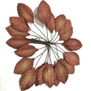 Leaf28 de feuilles de papier mûrier marron