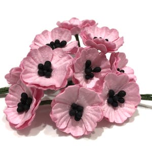 Papaveri di carta gelso rosa Pop02