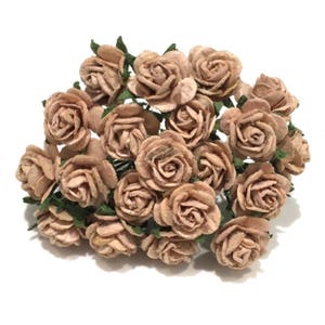 Metà marrone aperto Mulberry carta Rose or125