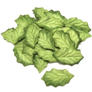 Feuilles de papier de houx vert mûrier Leaf034