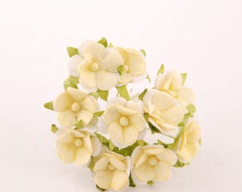 Cream And White Sweetheart Blossom Bl038