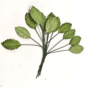 Green Mulberry Paper Leaves LONG LEAF STEM29