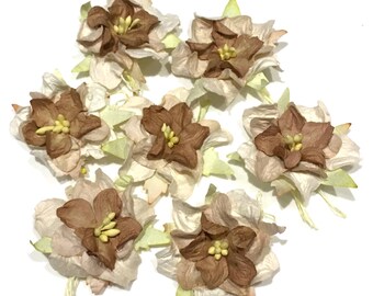 Brown Cream Mulberry Paper Gardenias Pg001