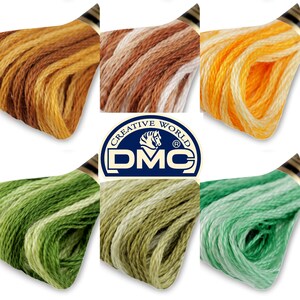 Embroidery Yarn DMC Mouliné Spécial Cotton Streaked