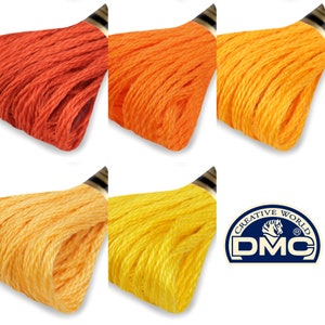 Cotone di filato DMC Mouliné Spécial Cotton 