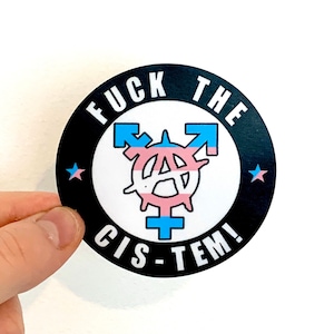 Fuck The Cis-Tem Trans Anarchy Sticker Transgender Anarchist Vinyl Decal