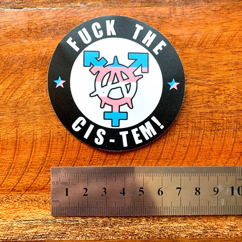 Fuck The Cis-Tem Trans Anarchy Sticker Transgender Anarchist Vinyl Decal image 2