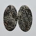 25% OFF Fantastic Top Quality Natural Black Fossil Coral 28x15x4 MM Smooth Plain Oval Shape Cabochon Earth Mined Black Fossil Coral Pair
