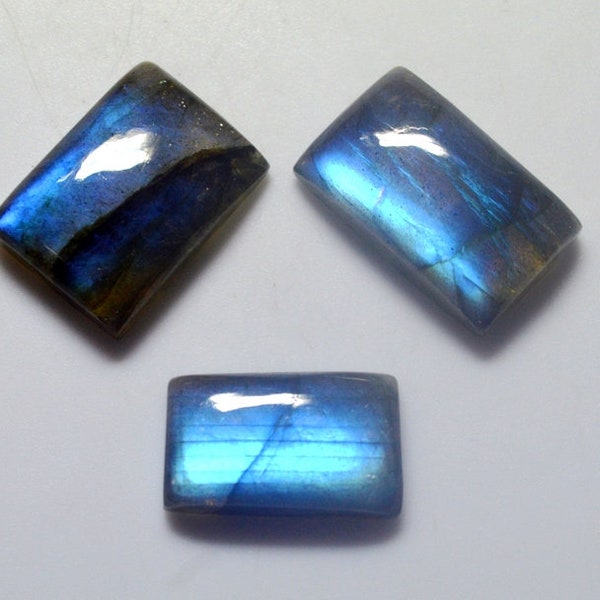 Cabochon de labradorite flashy, cabochon de labradorite multicolore multicolore 19 x 11-20 x 13 mm lisse en forme de coussin, lot de 3