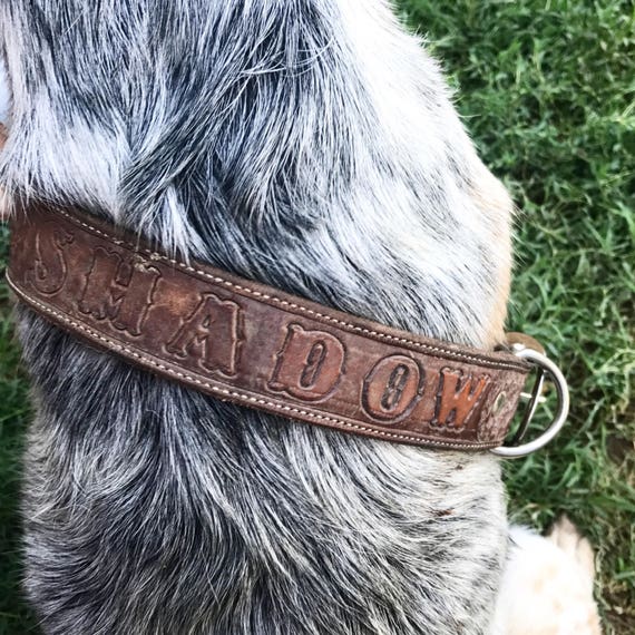custom tooled leather dog collars