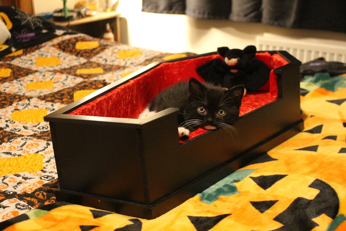 Buy Velvet Lined Coffin Shaped Pet Bed Online in India Etsy